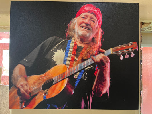 Willie Print on Canvas