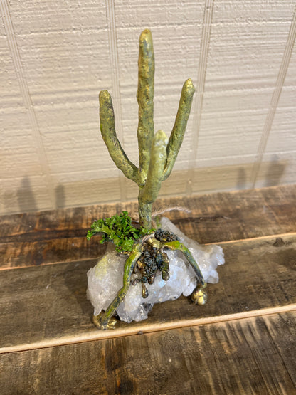 Small Saguaro on Quartz